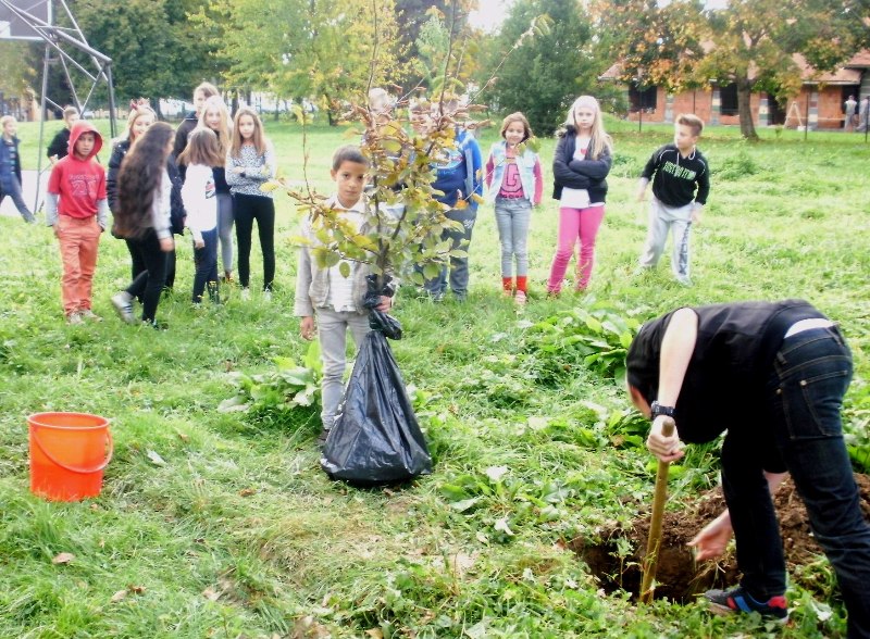 eTwinning tree campaign 2015